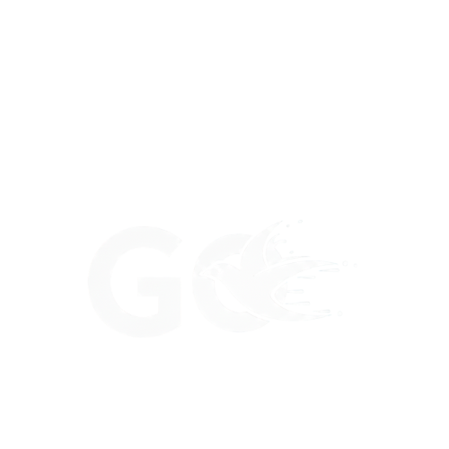Nawras Go Logo
